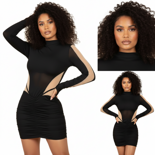 The Kylie Mesh Panel Mini Dress4